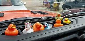 Jeeps And Ducks
